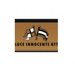 Luce Innocente Kft.